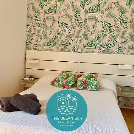 The Ocean Sur House 度假居